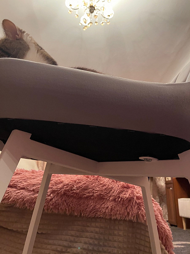 Стул на металлокаркасе Челси К бирюзовый / черный фото покупателя 131