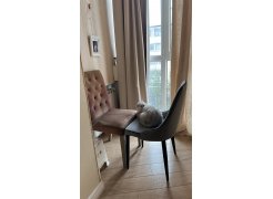 Стул на металлокаркасе Kora beige / black фото покупателя 285