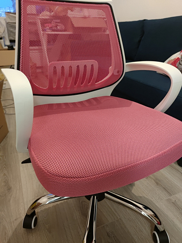 Компьютерное кресло Ergoplus light gray / white фото покупателя 8