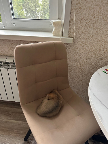 Комплект стульев Чилли 4 шт темно-серый / черный фото покупателя 184