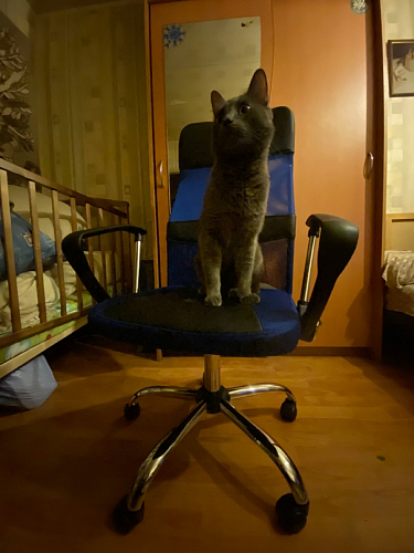 Компьютерное кресло ARANO черное фото покупателя 228