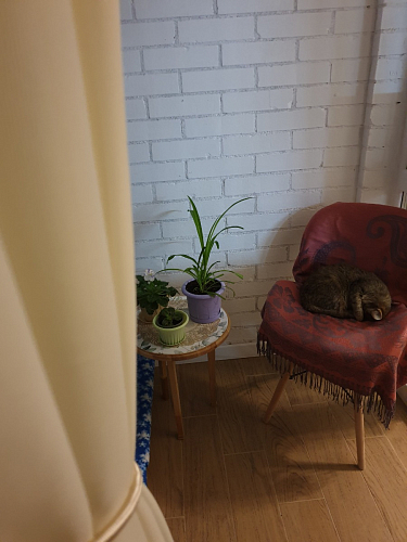 Деревянный стул PC-027 black / white фото покупателя 22