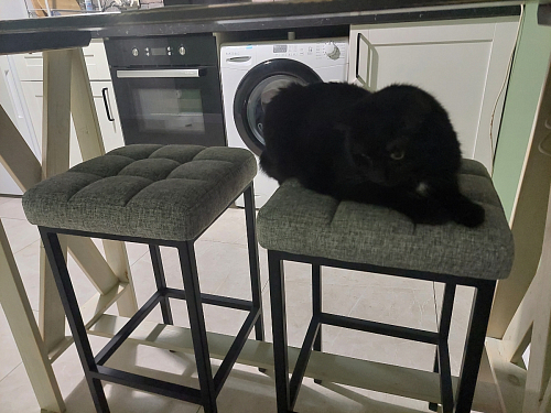 Барный стул Лофт катания лаванда / белый матовый фото покупателя 230