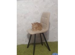 Стул на металлокаркасе Чилли синяя ткань / белый фото покупателя 600