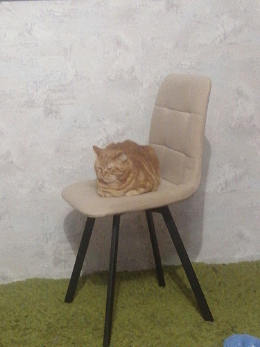 Стул на металлокаркасе Чилли зеленый / белый каркас фото покупателя 600