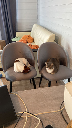 Деревянный стол Лота Лофт 140х80 черный матовый / бетон светлый фото покупателя 242