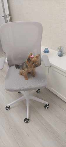 Компьютерное кресло Konfi dark gray / pink / white фото покупателя 141