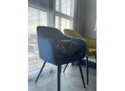 Стул на металлокаркасе Slam тёмно-серый фото покупателя 70