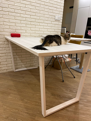 Деревянный стол Лота Лофт 120х75 белый матовый / дуб крафт золотой фото покупателя 906