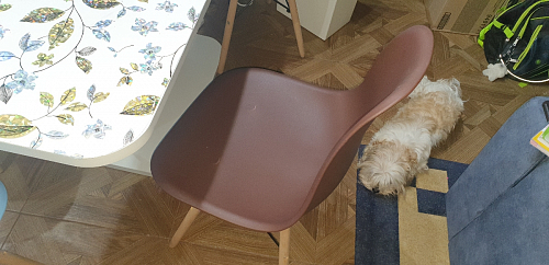 Пластиковый стул Eames PC-015 серо-голубой / дерево фото покупателя 200