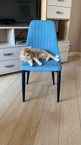 Стул на металлокаркасе Kora beige / black фото покупателя 114