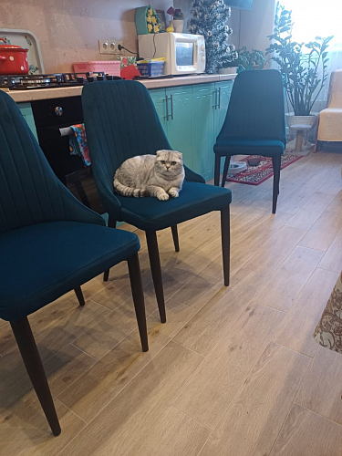 Стул на металлокаркасе Kora dark gray / black фото покупателя 398