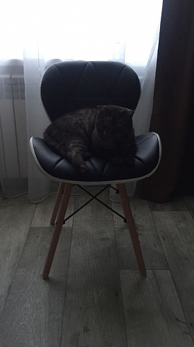 Деревянный стул PC-027 black / white фото покупателя 4