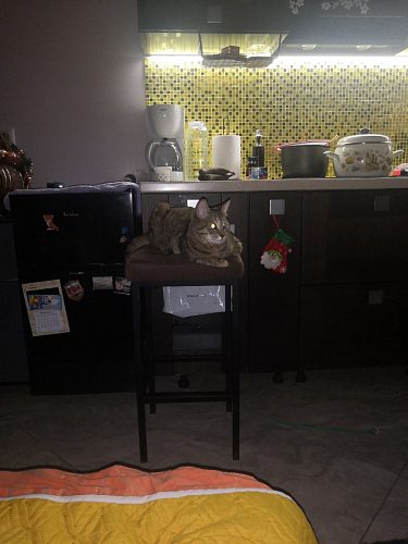 Барный стул Лофт ткань канди крем / черный матовый фото покупателя 140