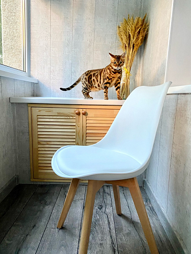 Деревянный стул Bonuss темно-серый / черное сидение / черный фото покупателя 1