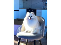 Стул на металлокаркасе Gabi gray / black фото покупателя 20