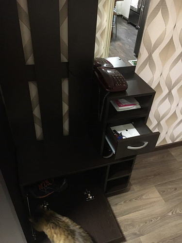 Прихожая Мила дуб сонома фото покупателя 111