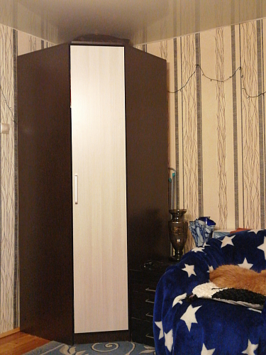 Шкаф угловой Фиеста ясень темный / ясень светлый фото покупателя 1