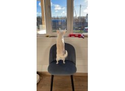 Стул на металлокаркасе Gabi 1 light purple / black фото покупателя 318