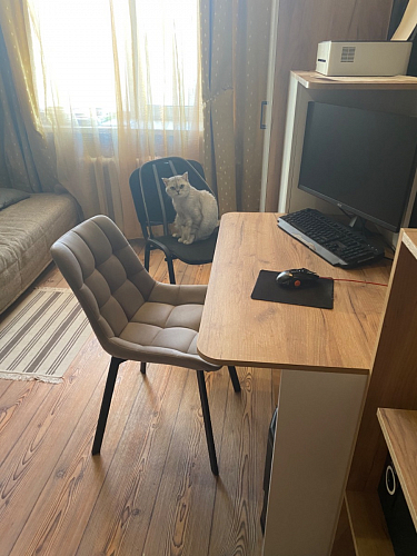 Стул на металлокаркасе Челси К крутящийся бирюзовый / черный фото покупателя 173