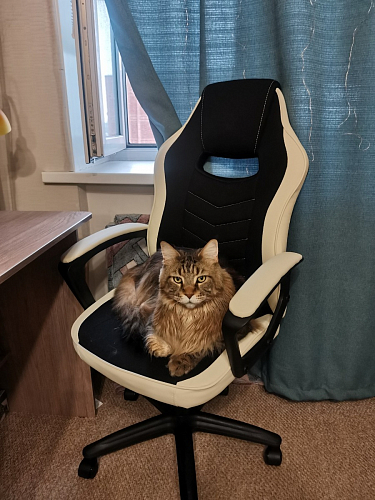 Компьютерное кресло Gamer черное / серое фото покупателя 41