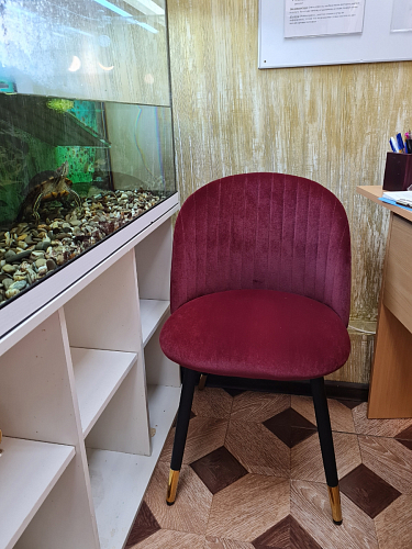 Стул на металлокаркасе Gabi green / black / silver фото покупателя 277