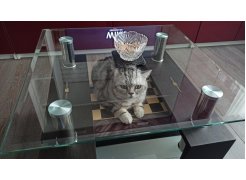 Журнальный столик CT1-052 white фото покупателя 70