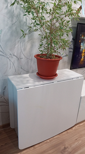 Стол-книжка СтК7 белый фото покупателя 43