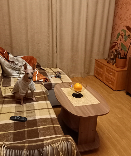 Журнальный стол Лидер схема фото покупателя 30