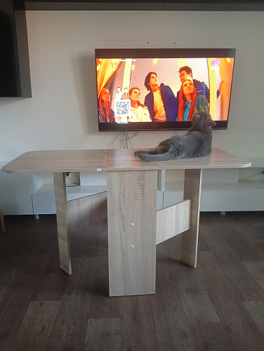 Стол-книжка Мечта дуб сонома фото покупателя 40