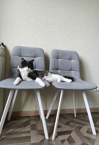 Стул на металлокаркасе Чилли зеленый / белый каркас фото покупателя 447