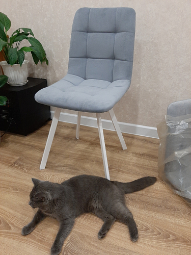 Стул Чилли 2 темно-серый  / черный фото покупателя 755