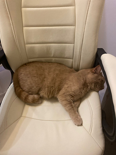 Компьютерное кресло Kadis кремовое фото покупателя 2