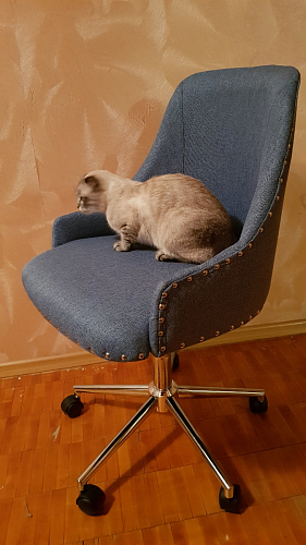 Компьютерное кресло Lida blue фото покупателя 3