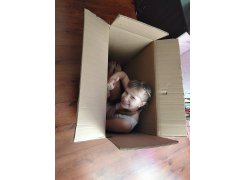 Компьютерное кресло Montana light gray / white фото покупателя 13