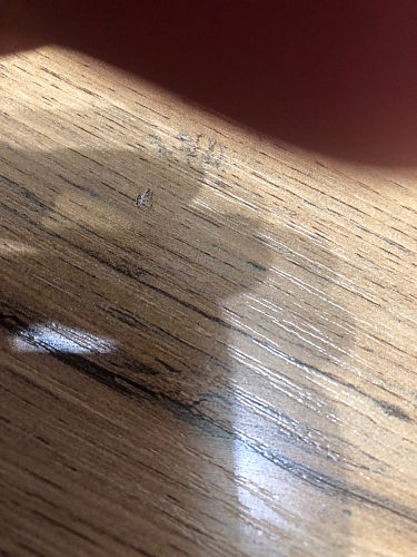 Деревянный стол Лота Лофт 120х75 белый матовый / дуб крафт золотой фото покупателя 168