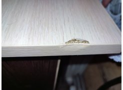 Стол письменный СП4 венге фото покупателя 36