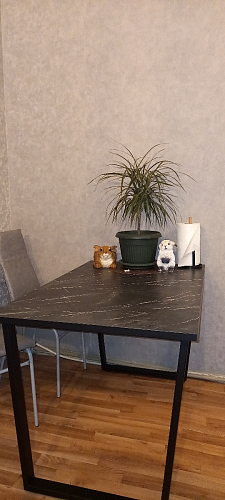 Стол Лота Лофт 120 32 мм бетон / черный матовый фото покупателя 267