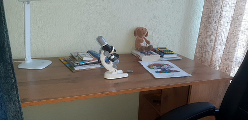 Письменный стол Фред Лофт черный матовый / дуб делано темный фото покупателя 3