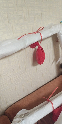 Стул на металлокаркасе Kora green / black фото покупателя 333