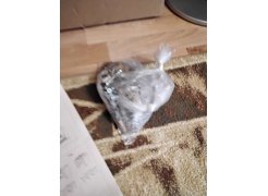 Стол-книжка СтК7 дуб сонома фото покупателя 212