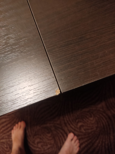 Стол-книжка Мечта дуб сонома фото покупателя 166