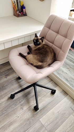 Компьютерное кресло Честер латте / золото фото покупателя 5