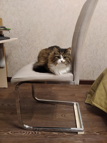 Стул Oddy light grey fabric фото покупателя 4