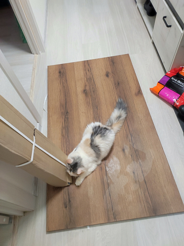 Стол Тринити Лофт 120 32 мм дуб галифакс табако / черный матовый фото покупателя 167