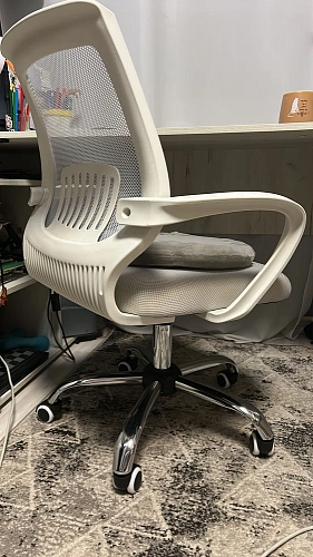 Компьютерное кресло Ergoplus light gray / white фото покупателя 29