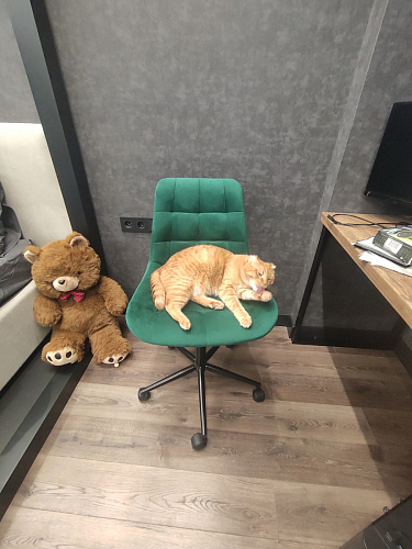 Компьютерное кресло Честер розовый (california 390) / черный фото покупателя 11