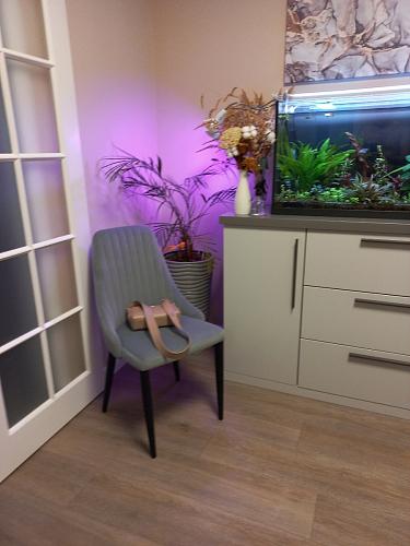 Стул на металлокаркасе Kora black / gray фото покупателя 298