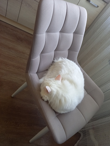 Стул на металлокаркасе Челси бежевый / белый каркас фото покупателя 166