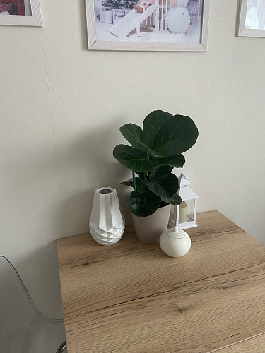 Стол раскладной Колон Лофт 120 32 мм дуб галифакс табако / черный матовый фото покупателя 28